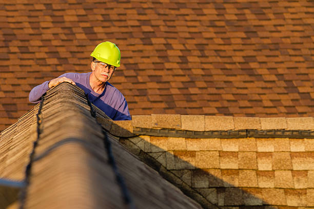 Best Local Roofing Companies  in Bourbonnais, IL